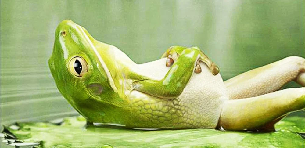 feeling--chill