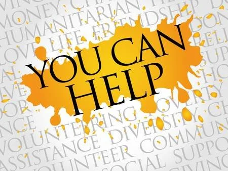 volunteer work - assist others