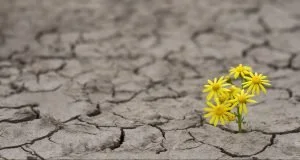 home--hope